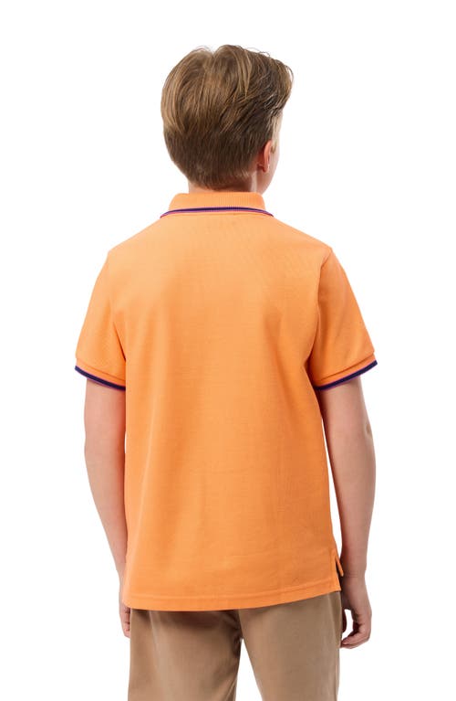 Shop Psycho Bunny Kids' Bunny Tipped Piqué Polo In Nectarine