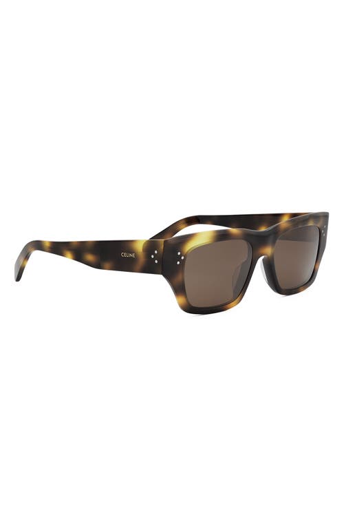Celine Bold 3 Dots 53mm Geometric Sunglasses In Blonde Havana/brown