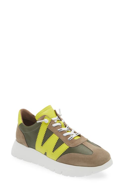 Wonders Fashion Slip-on Sneaker In Taupe/ Algae/ Cyber Combo