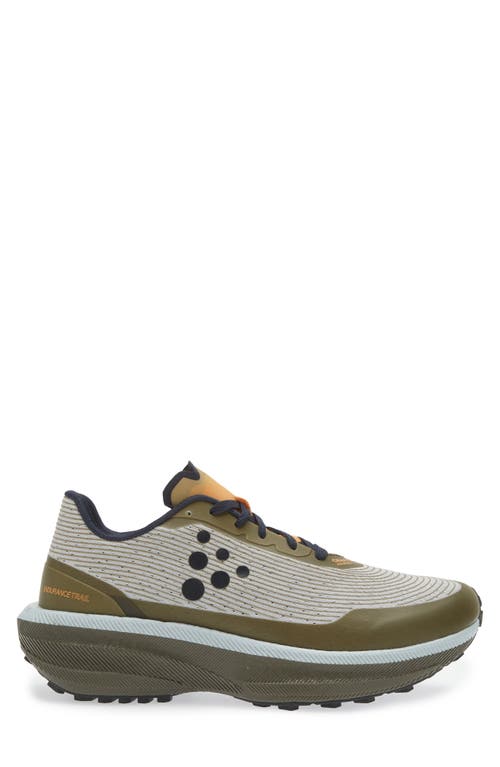 Craft Endurance Trail Running Shoe In Platinum-rift