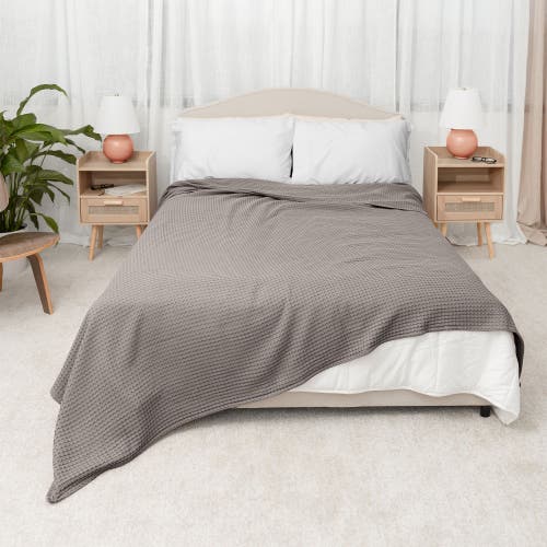 Comfy Cubs Adult Waffle Blanket In Charcoal