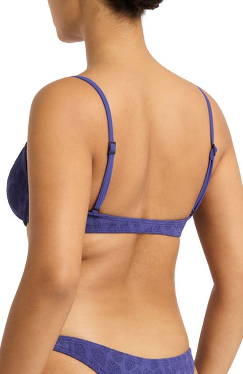 Bondeye Bond-eye Gracie Balconette Underwire Bikini Top In Sapphire Animalia