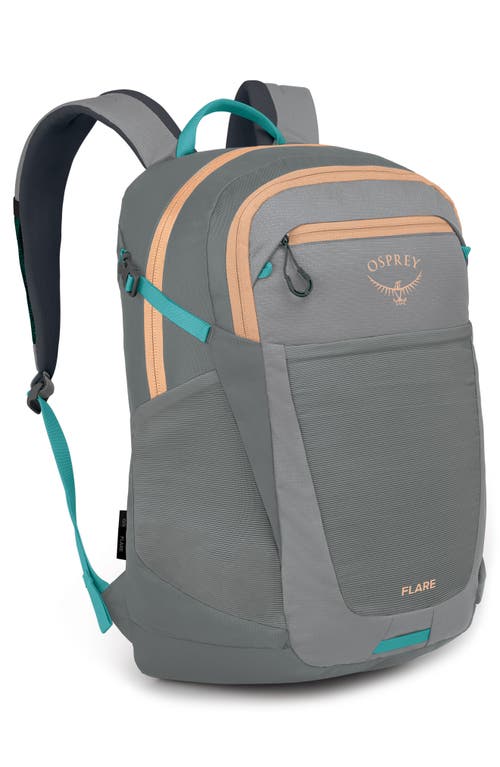 Shop Osprey Flare 27-liter Backpack In Medium Grey/coal Grey