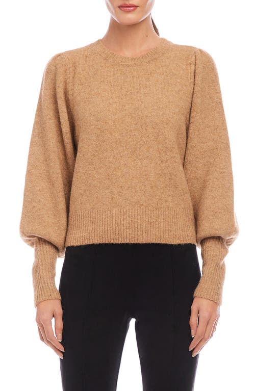 Shop Fifteen Twenty Lia Shirred Sweater In Almond