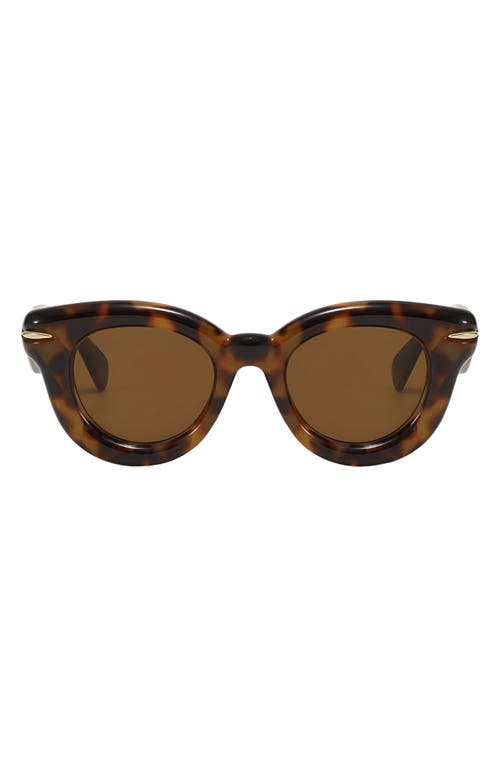 Fifth & Ninth Marlow 46mm Polarized Round Sunglasses In Brown