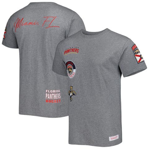 Men's Mitchell & Ness Heather Gray Florida Panthers City Collection T-Shirt