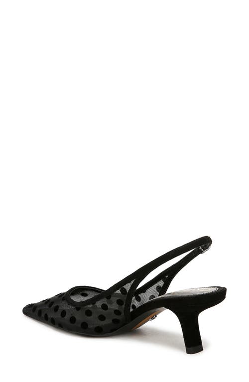Sam Edelman Biankasling Womens Man Made Kitten Heels In Black/black