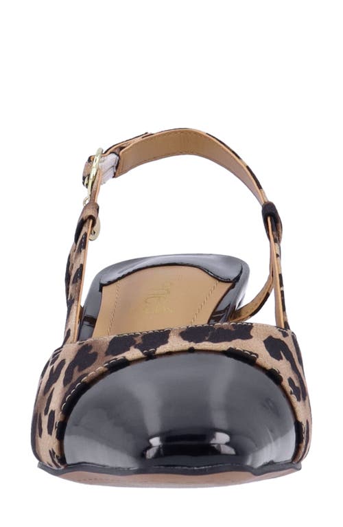 Shop J. Reneé Cyrene Pointed Toe Pump In Brown/black
