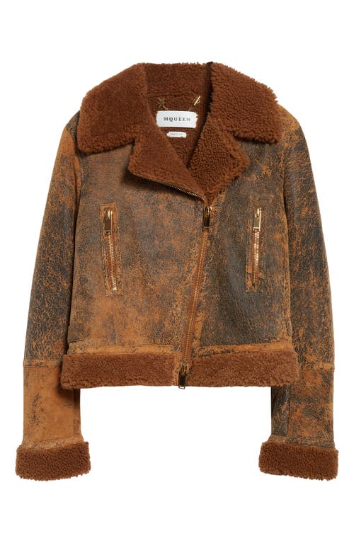 Shop Alexander Mcqueen Genuine Shearling Biker Jacket In Ginger/dark Brown