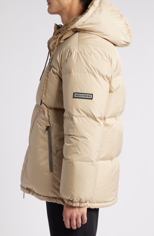 Shop Ugg(r) Shasta Genuine Shearling 700 Fill Power Down Jacket In Mustard Seed/antelope