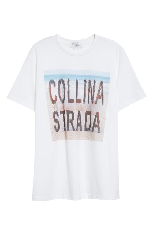 Shop Collina Strada Oversize Organic Cotton Graphic T-shirt In Horse Beach