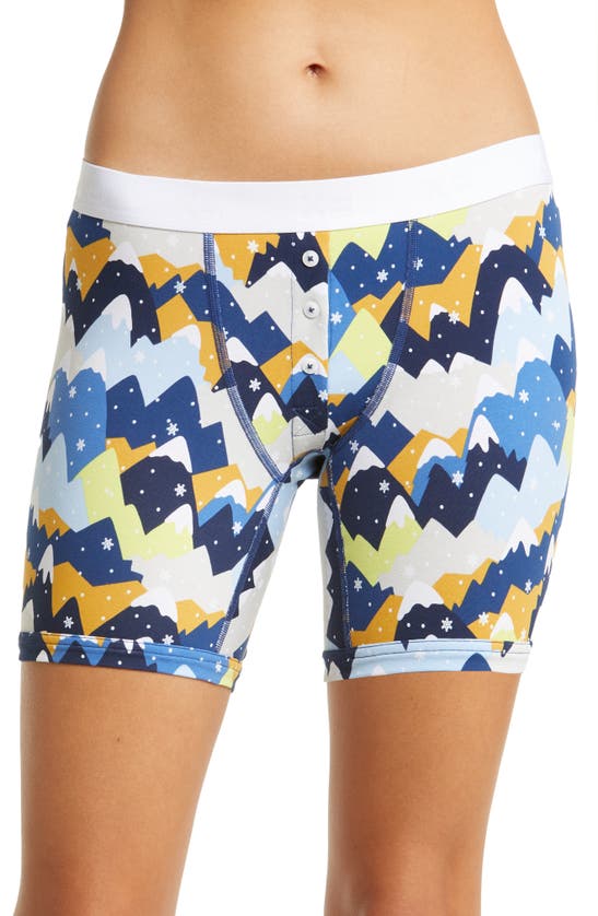 Tomboyx Faux Fly Boxer Briefs In Tippity Tops
