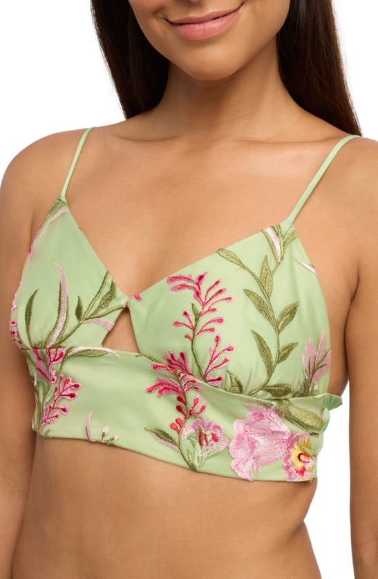 Shop Rya Collection Valencia Bralette & Shorts In Green Apple