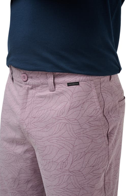 Shop Travismathew Guiding Lights Shorts In Elderberry