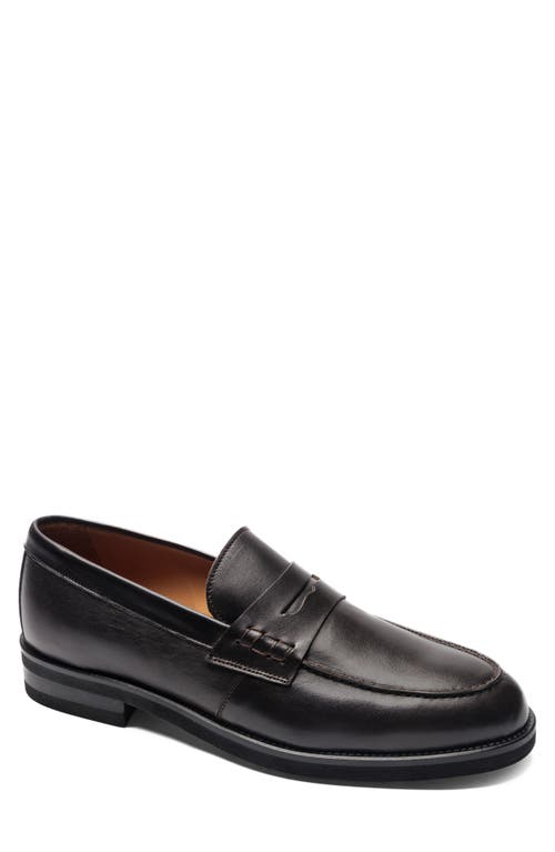 Shop Bruno Magli Carter Penny Loafer In Dark Brown Nappa