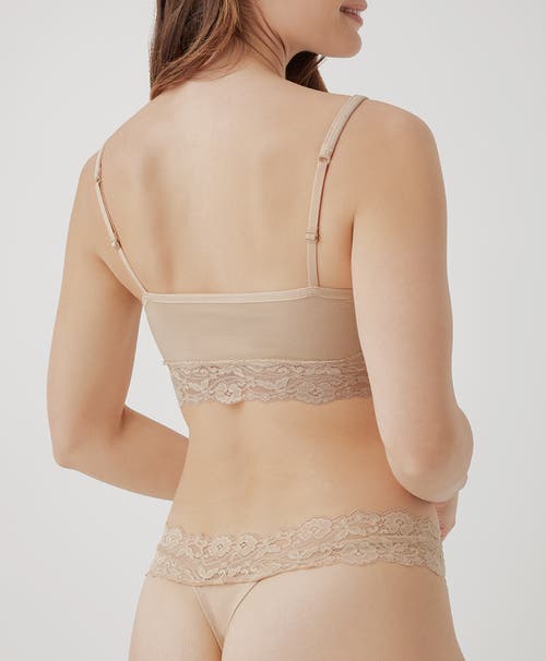 Pact Organic Cotton Lace Waist Thong 3-pack In Beloved Basics
