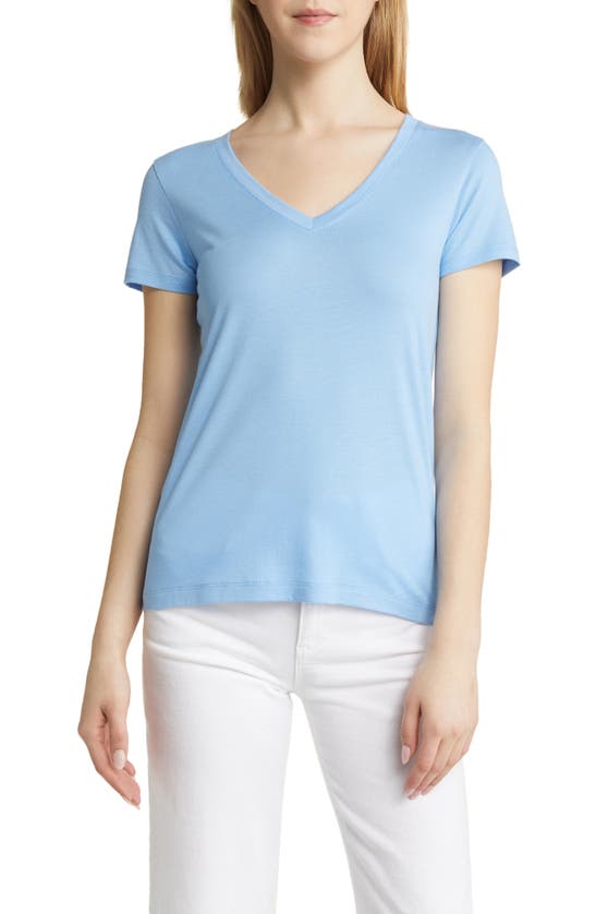 Nordstrom Everyday V-neck T-shirt In Blue Robbia