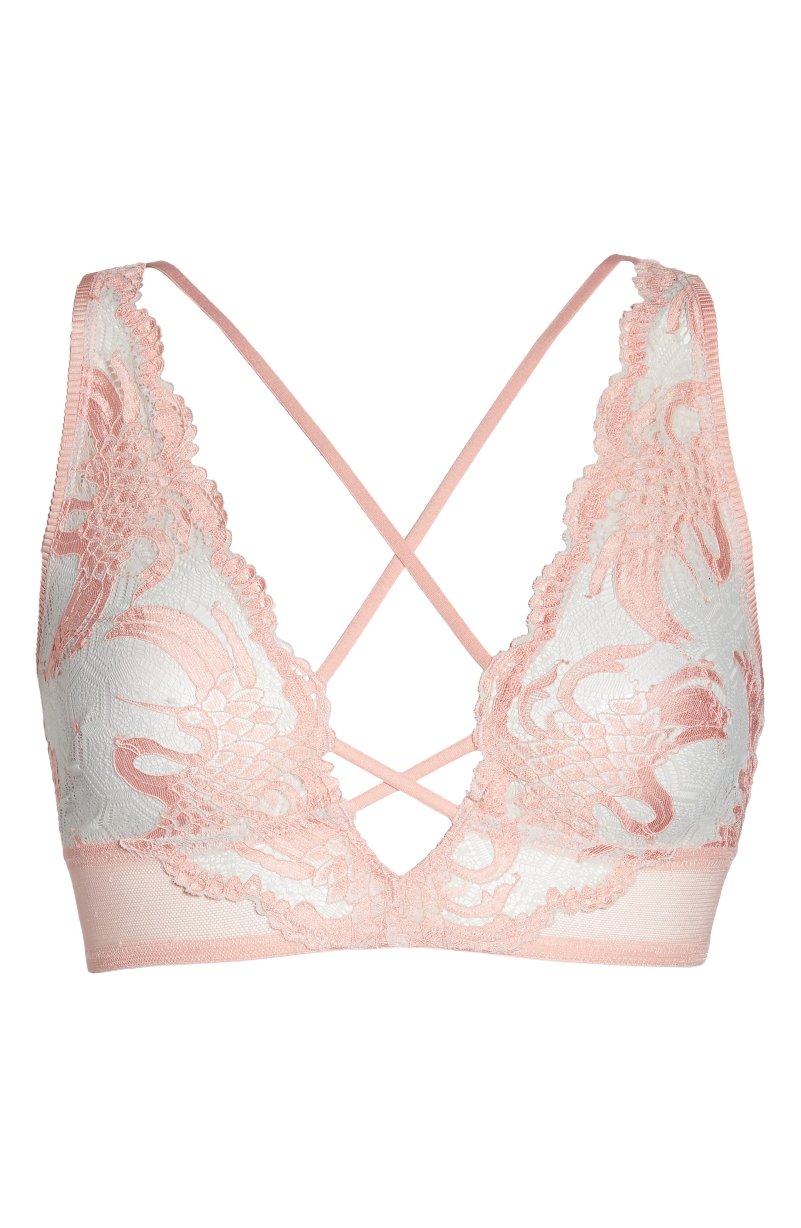 Honeydew Intimates Lace & Mesh Bralette Nordstrom Rack