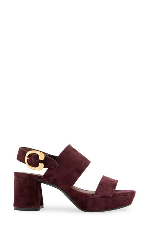 Shop Aerosoles Camera Platform Sandal In Deep Aubergine Suede