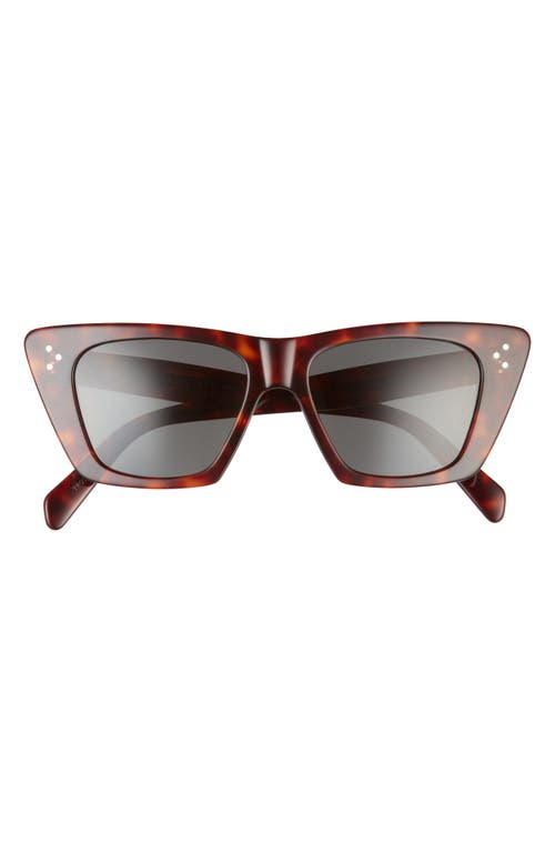 UPC 192337093098 product image for CELINE 54mm Cat Eye Sunglasses in Dark Havana /Smoke at Nordstrom | upcitemdb.com