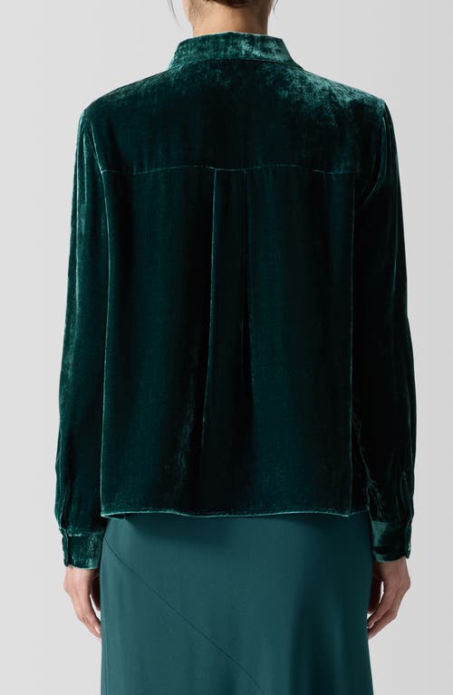 Shop Eileen Fisher Classic Collar Easy Velvet Button-up Shirt In Pine