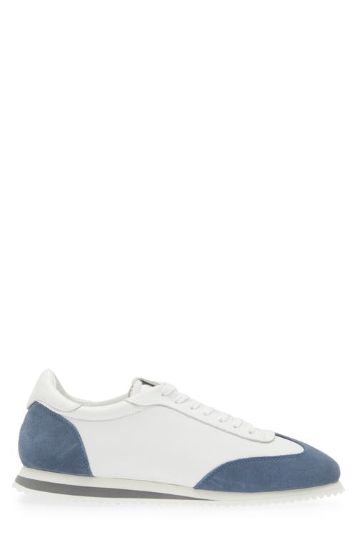 G Brown Dash Low Top Sneaker In Blue/white