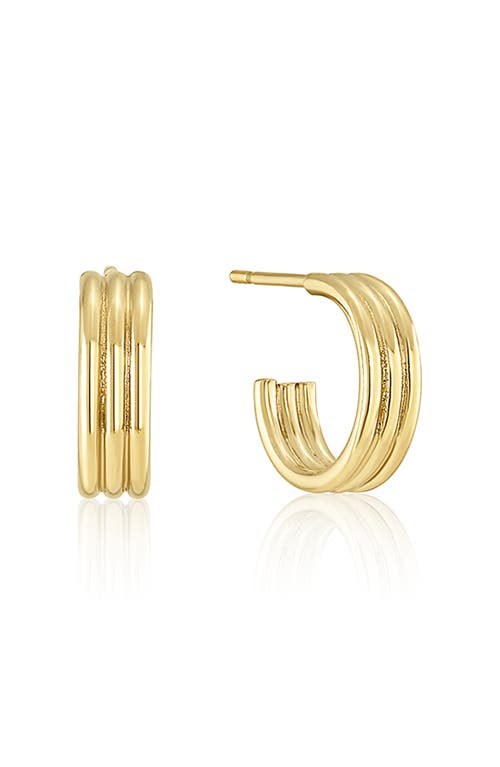 Harlow Hoop Earrings in Gold