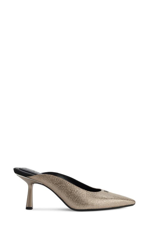 Shop Dkny Netta Mule In Champagne