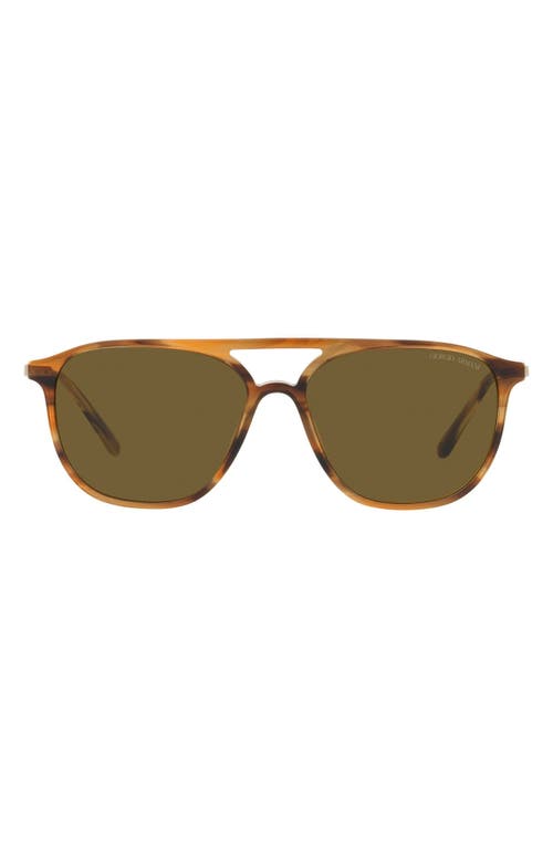 56mm Pilot Sunglasses in Striped Brown