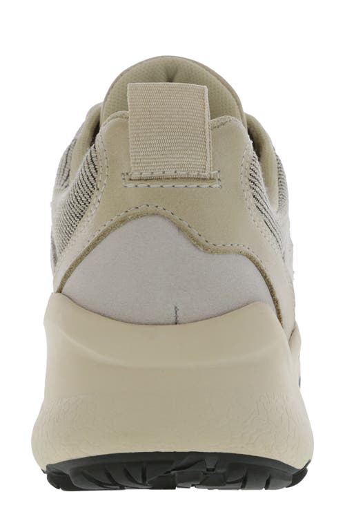 Sas Low Country-x Sneaker In Monahans