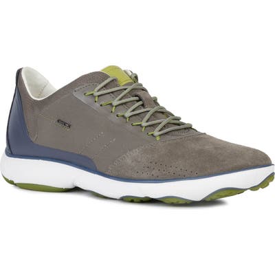 Geox Nebula 61 Sneaker, Grey