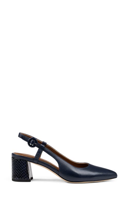 Shop Donald Pliner Song Slingback Pointed Toe Pump In Navy