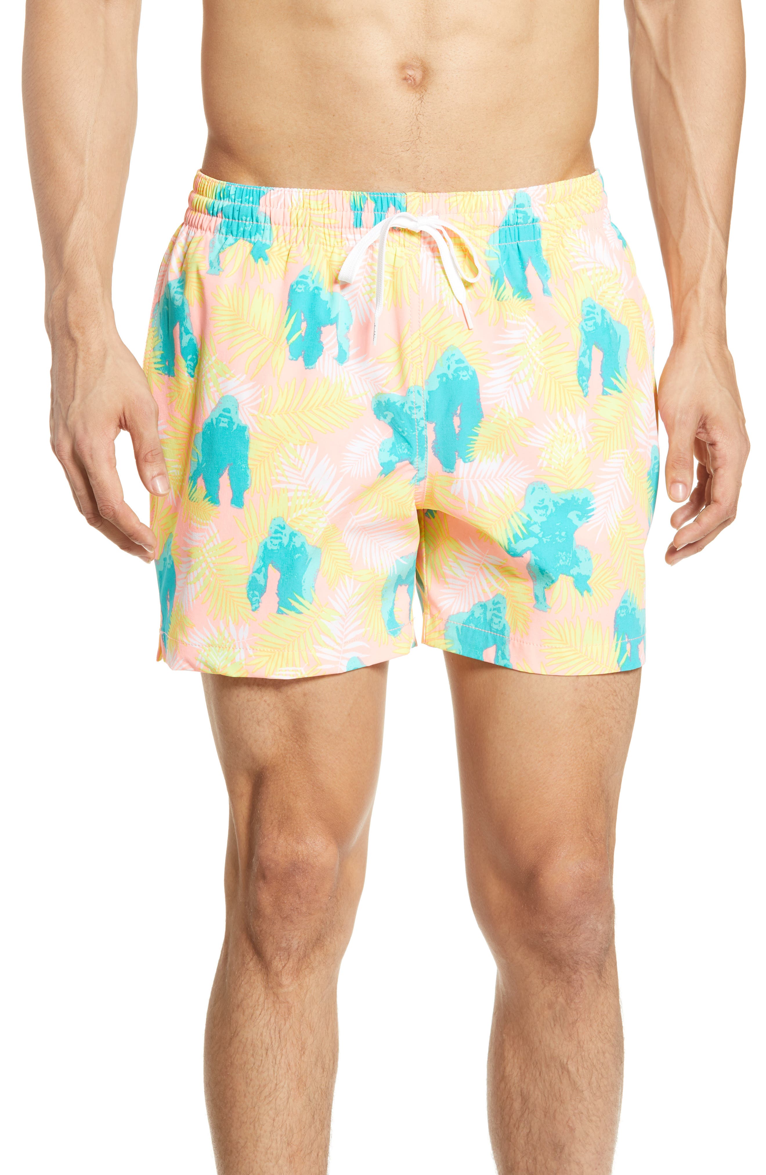 chubbies family swimsuits