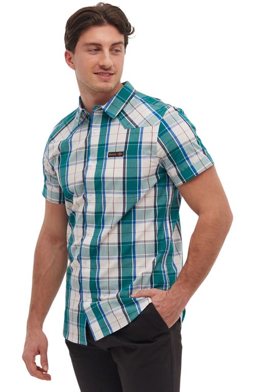 Shop Bench . Stavo Short Sleeve Check Shirt In White Green Blue
