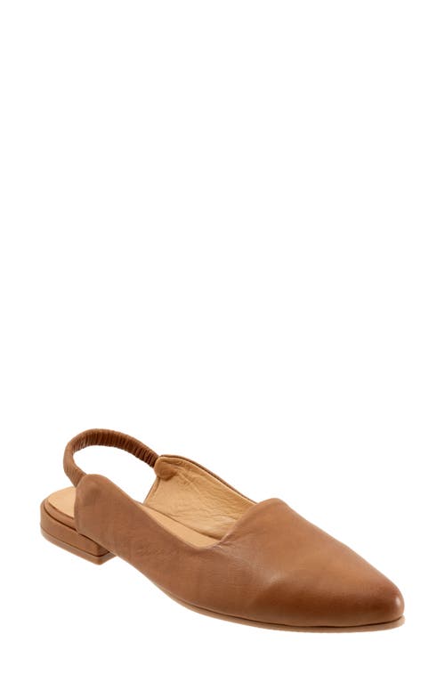 Bueno Indie Slingback Pointed Toe Flat Walnut at Nordstrom,