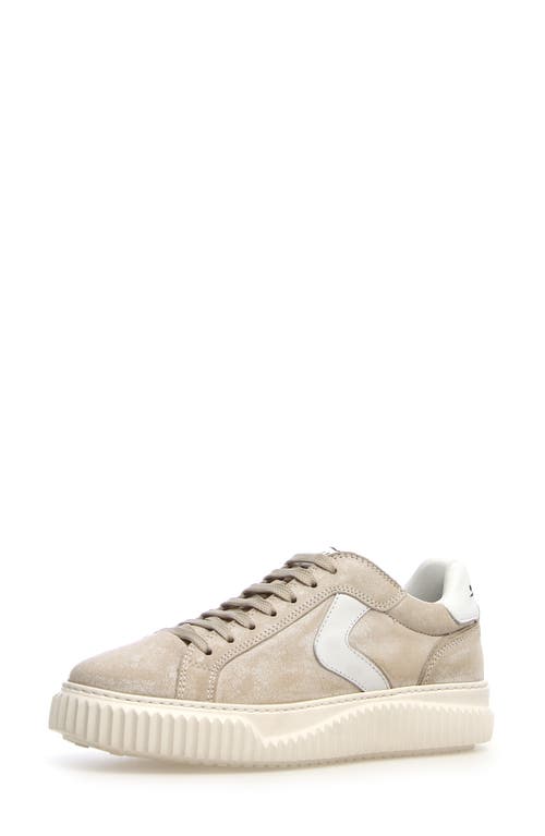 Voile Blanche Women's Lipari Lace Up Low Top Sneakers In Slate/white