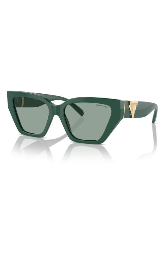 Shop Tiffany & Co . 55mm Cat Eye Sunglasses In Green