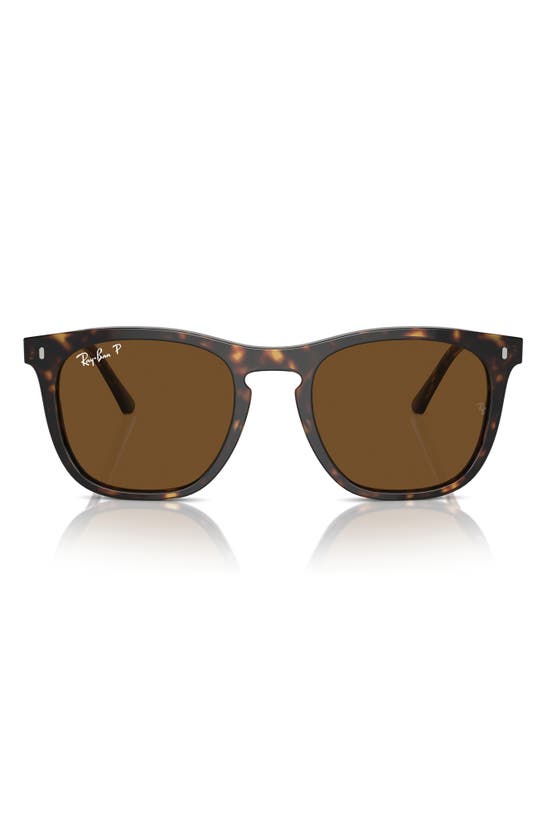 Ray Ban 53mm Polarized Square Sunglasses In Havana