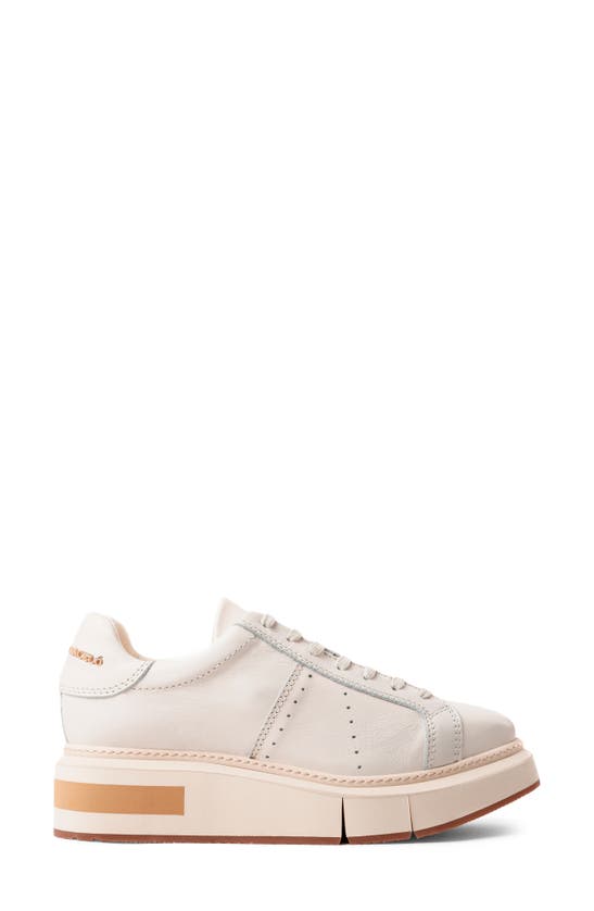 Paloma Barceló Lisieux Sneaker In Gesso/ Caramel