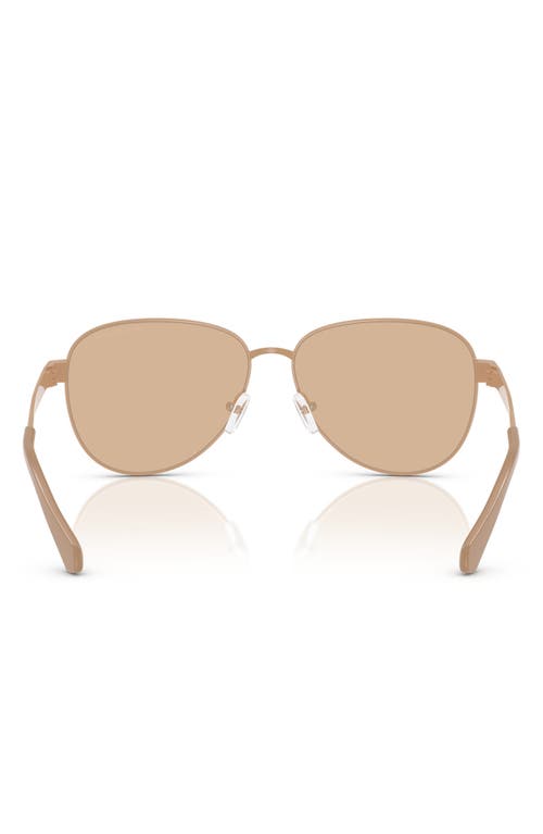 Michael Kors 59mm Pilot Sunglasses In Caramel