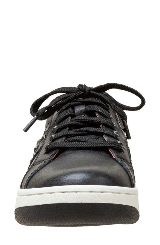 Linea Paolo Kerry Sneaker In Black