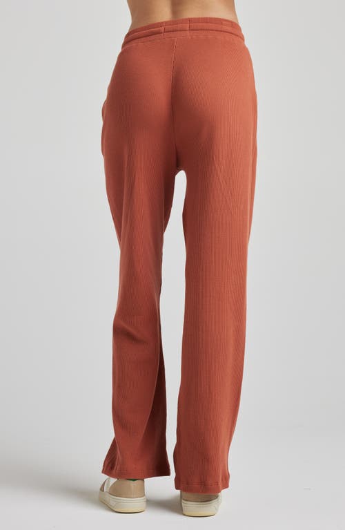 Shop Losano Drawstring Pant In Baked Clay