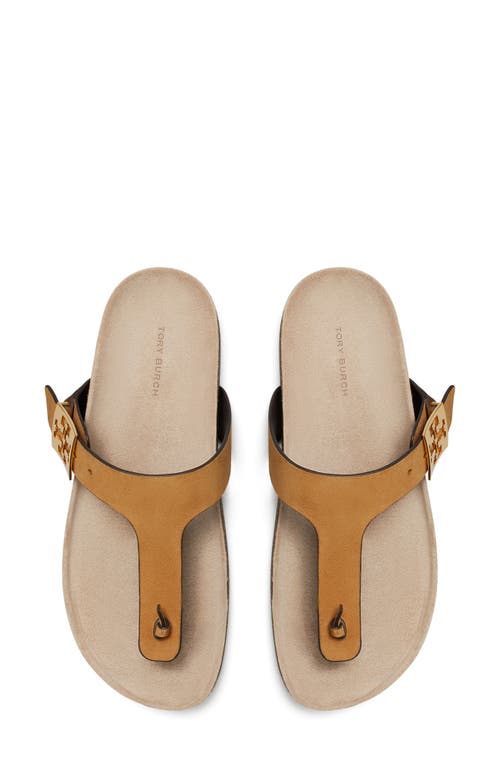 Shop Tory Burch Mellow Thong Sandal In Rhum/avola
