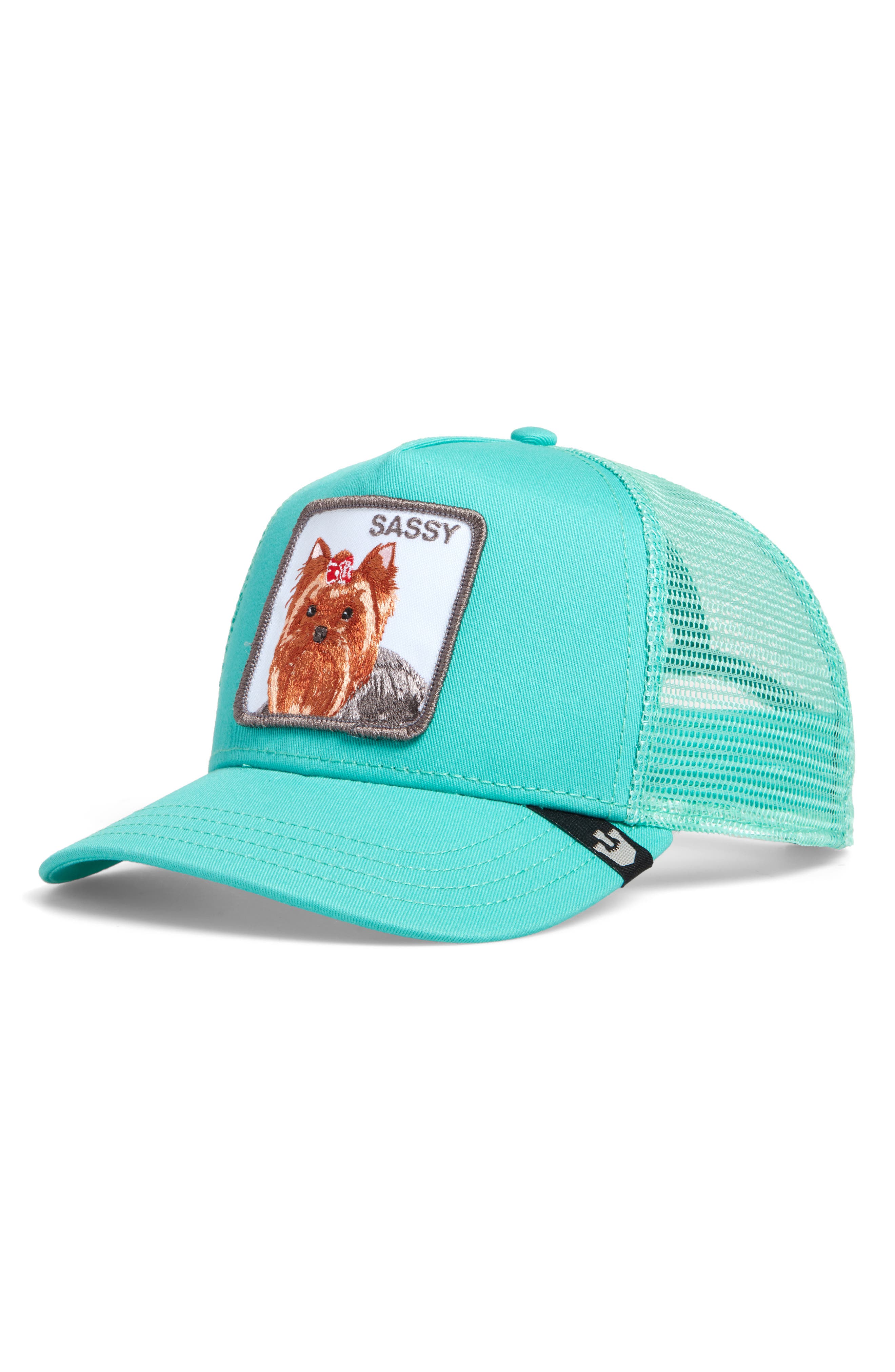 goorin bros pet sale