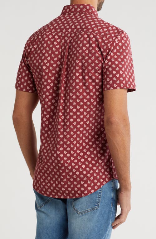 14th & Union Seersucker Short Sleeve Lace Foulard Button-up Shirt In Red Russet Lace Foulard