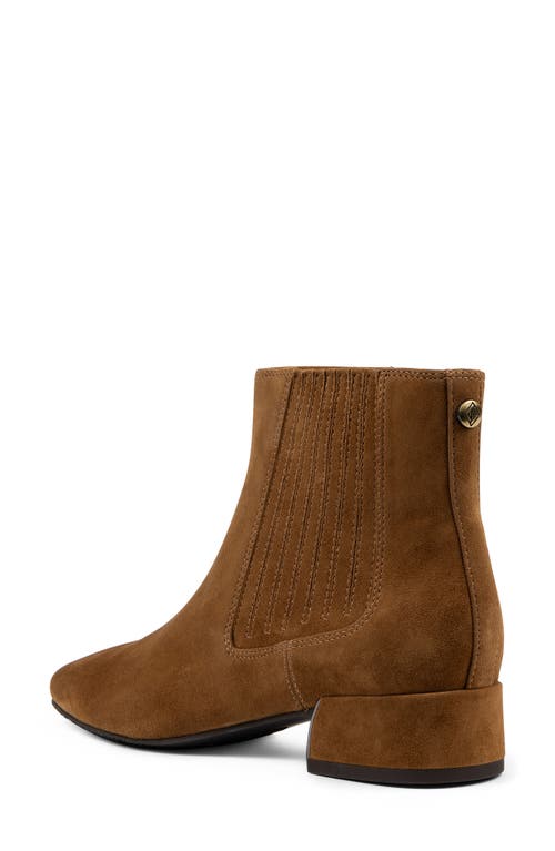 Shop Donald Pliner Dasiaci Bootie In Saddle