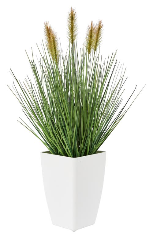Ginger Birch Studio Artificial Potted Plant In Green