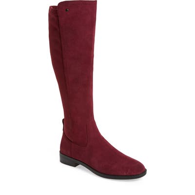 Very Volatile Anchor Knee High Boot, Burgundy