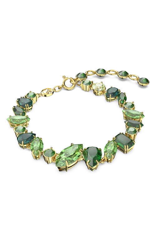 Swarovski Gema Crystal Bracelet in Green at Nordstrom, Size Medium