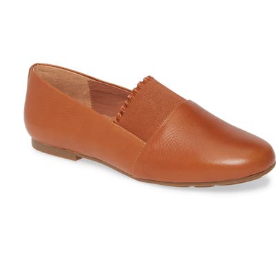 Gentle Souls Signature Lilah Ruffle Flat, Brown